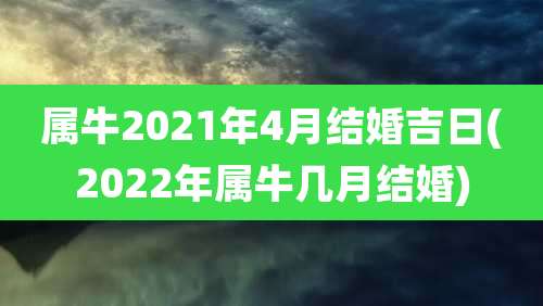 属牛2021年4月结婚吉日(2022年属牛几月结婚)