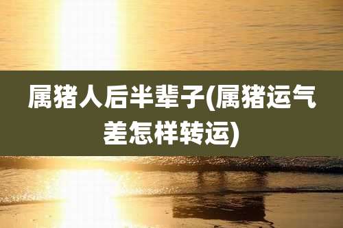 属猪人后半辈子(属猪运气差怎样转运)