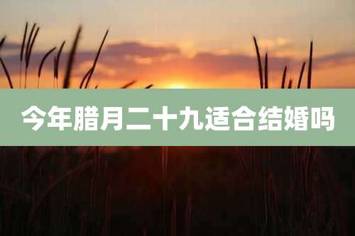 今年腊月二十九适合结婚吗