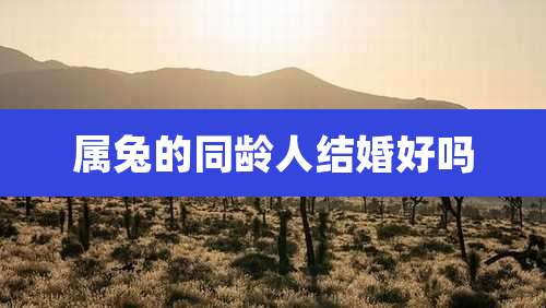 属兔的同龄人结婚好吗