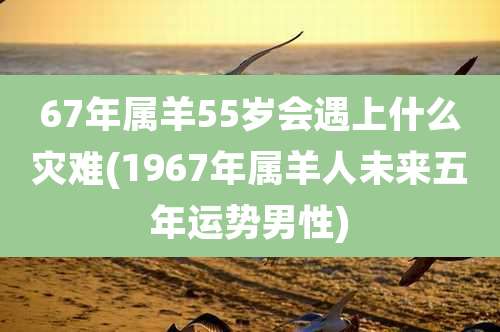 67年属羊55岁会遇上什么灾难(1967年属羊人未来五年运势男性)