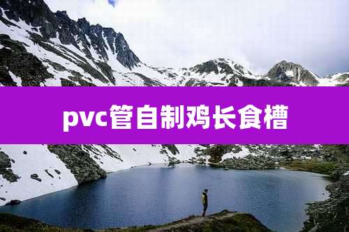 pvc管自制鸡长食槽