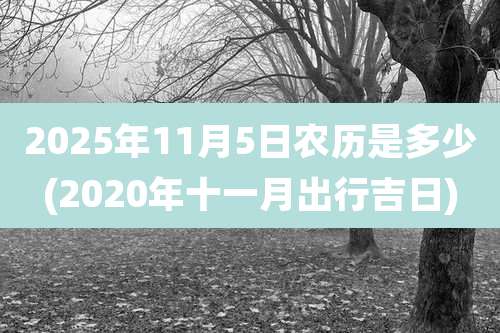 2025年11月5日农历是多少(2020年十一月出行吉日)