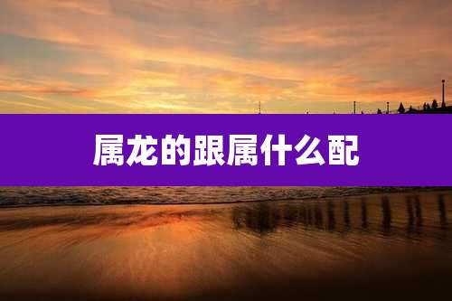 属龙的跟属什么配