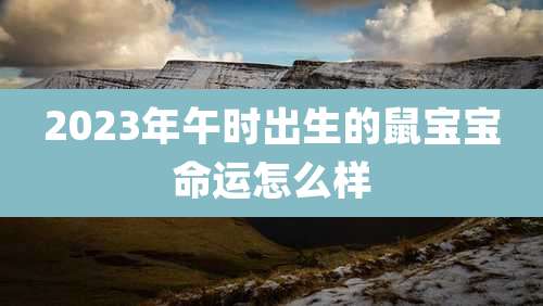 2023年午时出生的鼠宝宝命运怎么样