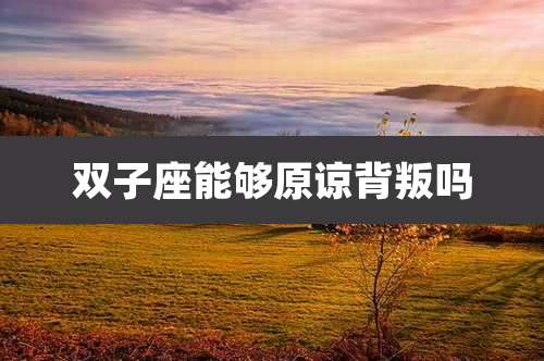 双子座能够原谅背叛吗