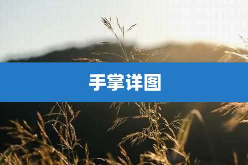 手掌详图