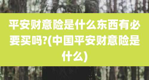 平安财意险是什么东西有必要买吗?(中国平安财意险是什么)