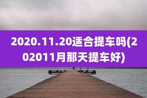 2020.11.20适合提车吗(202011月那天提车好)