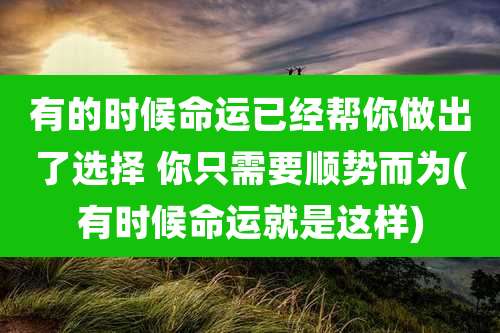 有的时候命运已经帮你做出了选择 你只需要顺势而为(有时候命运就是这样)