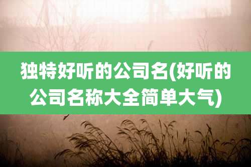 独特好听的公司名(好听的公司名称大全简单大气)