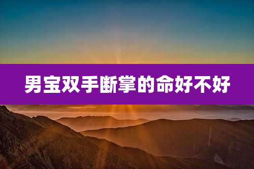 男宝双手断掌的命好不好