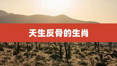 天生反骨的生肖