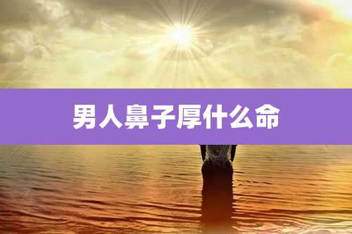 男人鼻子厚什么命