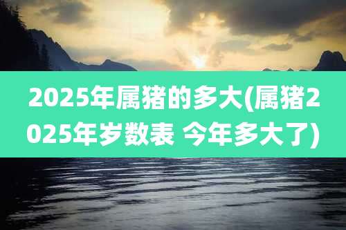 2025年属猪的多大(属猪2025年岁数表 今年多大了)