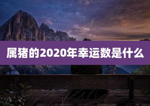 属猪的2020年幸运数是什么