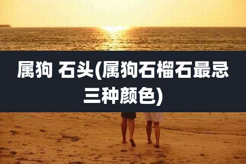 属狗 石头(属狗石榴石最忌三种颜色)