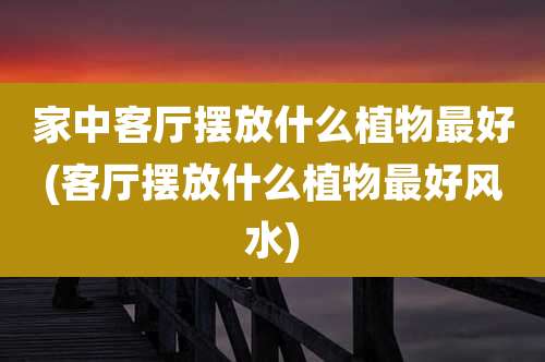 家中客厅摆放什么植物最好(客厅摆放什么植物最好风水)