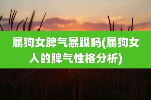 属狗女脾气暴躁吗(属狗女人的脾气性格分析)