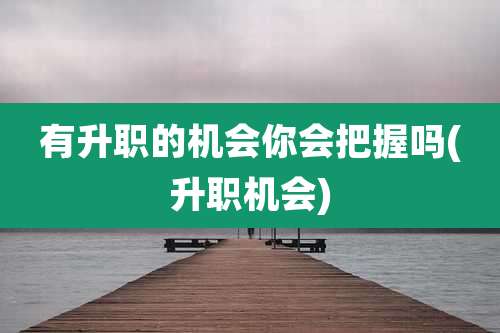 有升职的机会你会把握吗(升职机会)