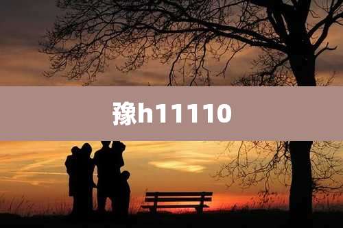 豫h11110