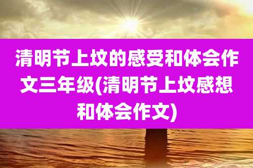 清明节上坟的感受和体会作文三年级(清明节上坟感想和体会作文)