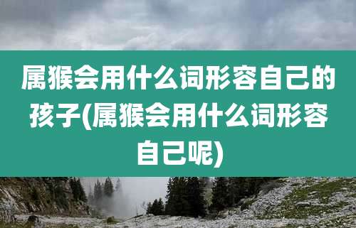 属猴会用什么词形容自己的孩子(属猴会用什么词形容自己呢)