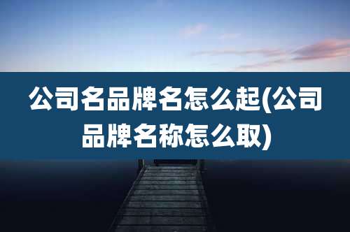 公司名品牌名怎么起(公司品牌名称怎么取)