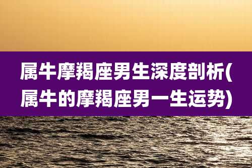属牛摩羯座男生深度剖析(属牛的摩羯座男一生运势)