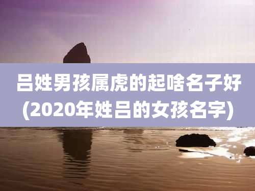 吕姓男孩属虎的起啥名子好(2020年姓吕的女孩名字)