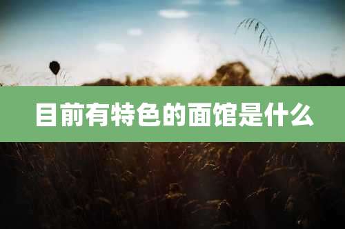 目前有特色的面馆是什么