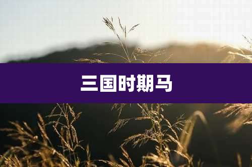 三国时期马