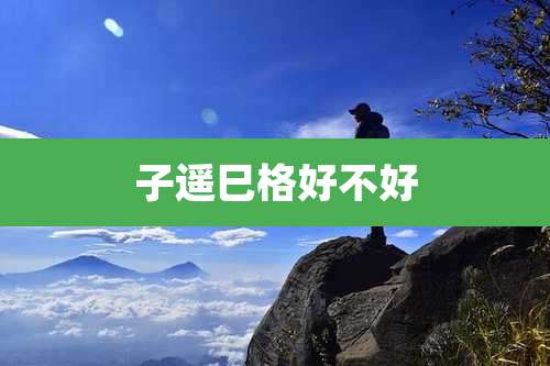 子遥巳格好不好