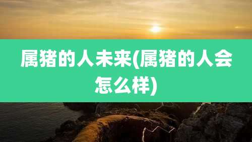 属猪的人未来(属猪的人会怎么样)