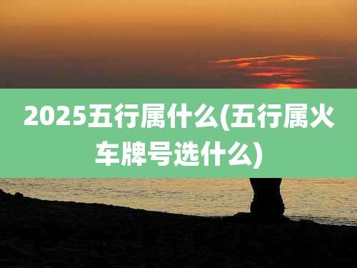 2025五行属什么(五行属火车牌号选什么)
