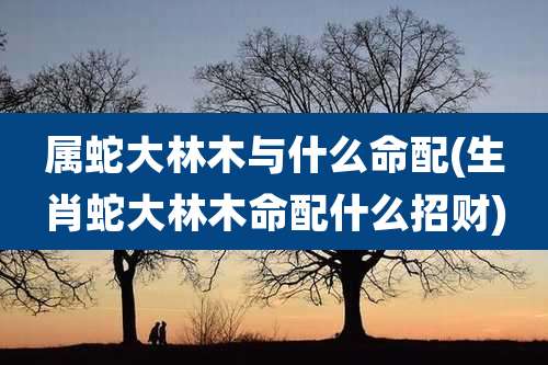 属蛇大林木与什么命配(生肖蛇大林木命配什么招财)