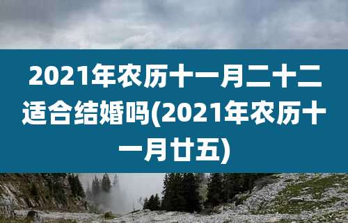 2021年农历十一月二十二适合结婚吗(2021年农历十一月廿五)