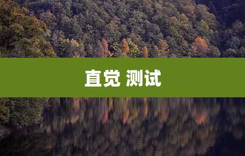 直觉 测试