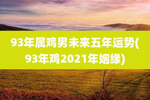 93年属鸡男未来五年运势(93年鸡2021年姻缘)