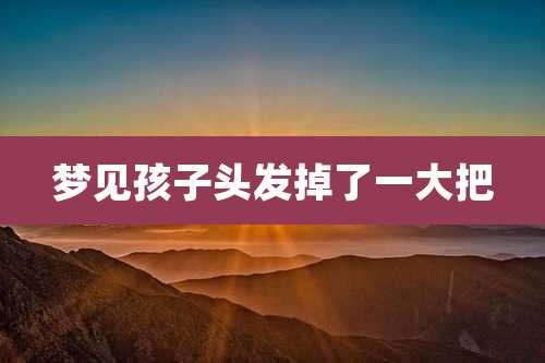 梦见孩子头发掉了一大把