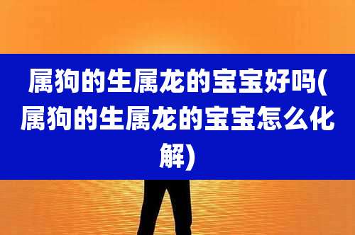 属狗的生属龙的宝宝好吗(属狗的生属龙的宝宝怎么化解)