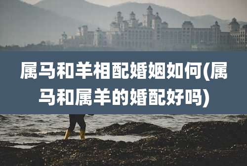 属马和羊相配婚姻如何(属马和属羊的婚配好吗)