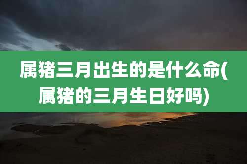 属猪三月出生的是什么命(属猪的三月生日好吗)