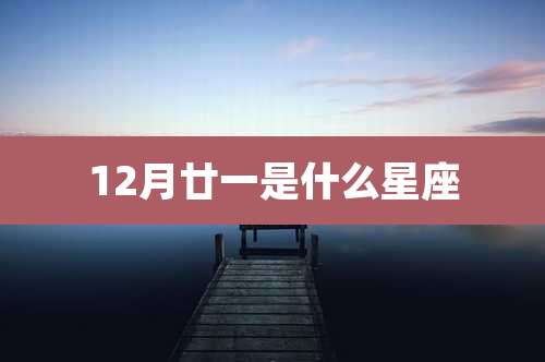 12月廿一是什么星座