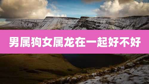 男属狗女属龙在一起好不好