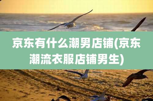 京东有什么潮男店铺(京东潮流衣服店铺男生)