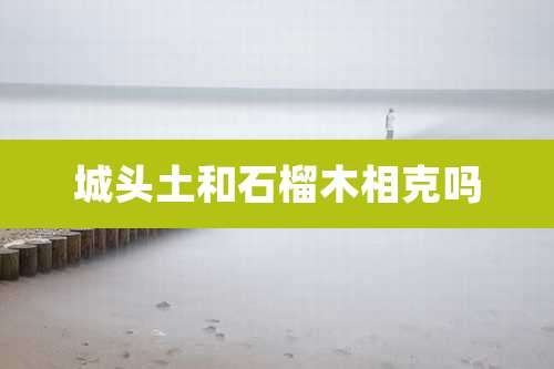 城头土和石榴木相克吗