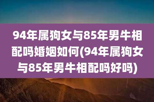 94年属狗女与85年男牛相配吗婚姻如何(94年属狗女与85年男牛相配吗好吗)
