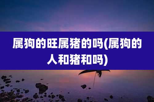 属狗的旺属猪的吗(属狗的人和猪和吗)