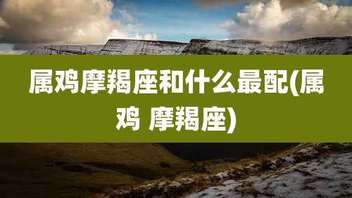 属鸡摩羯座和什么最配(属鸡 摩羯座)